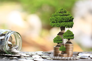 NRI’s Guide to Invest In Indian Mutual Fund